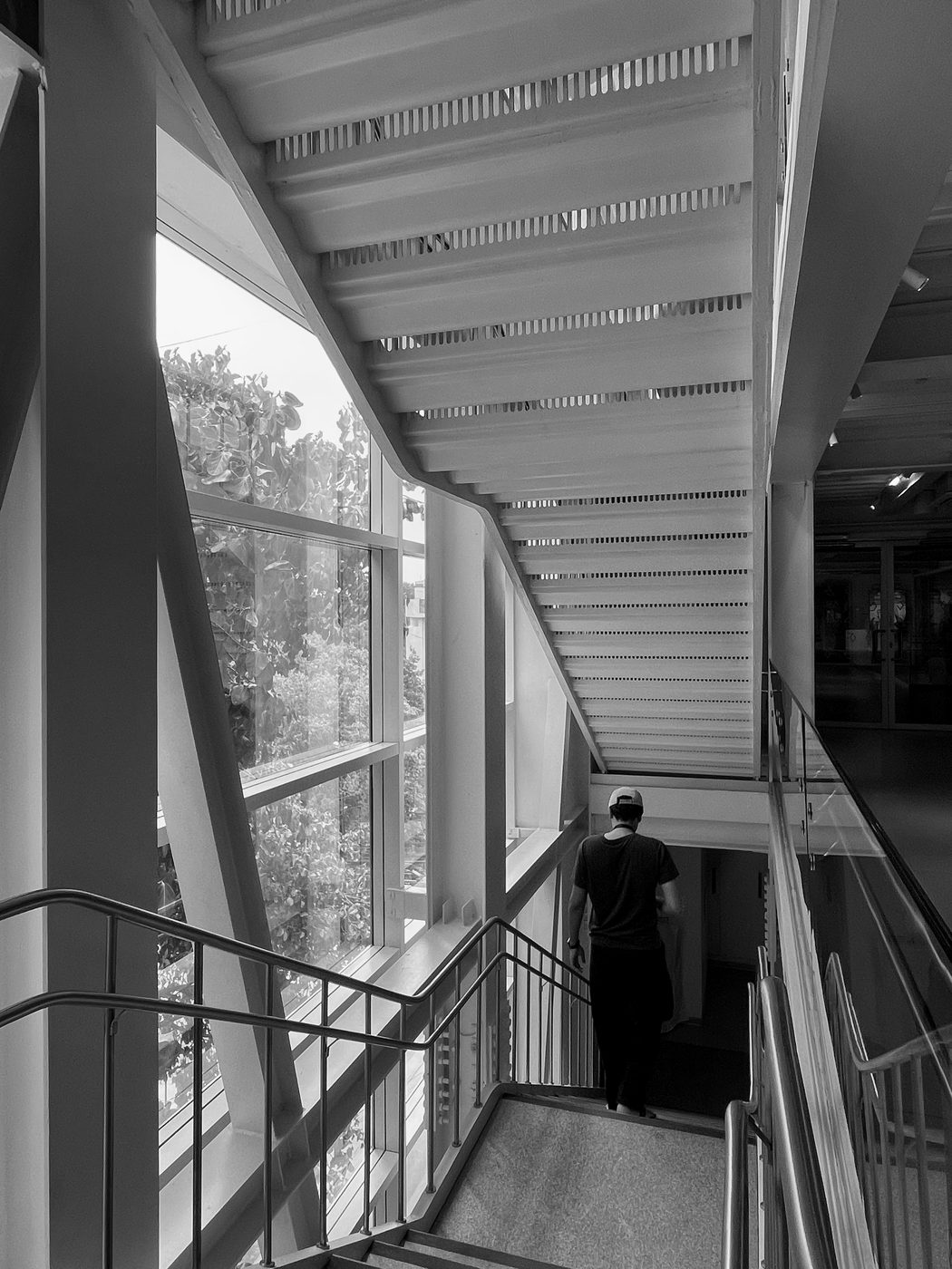 Photograph 7