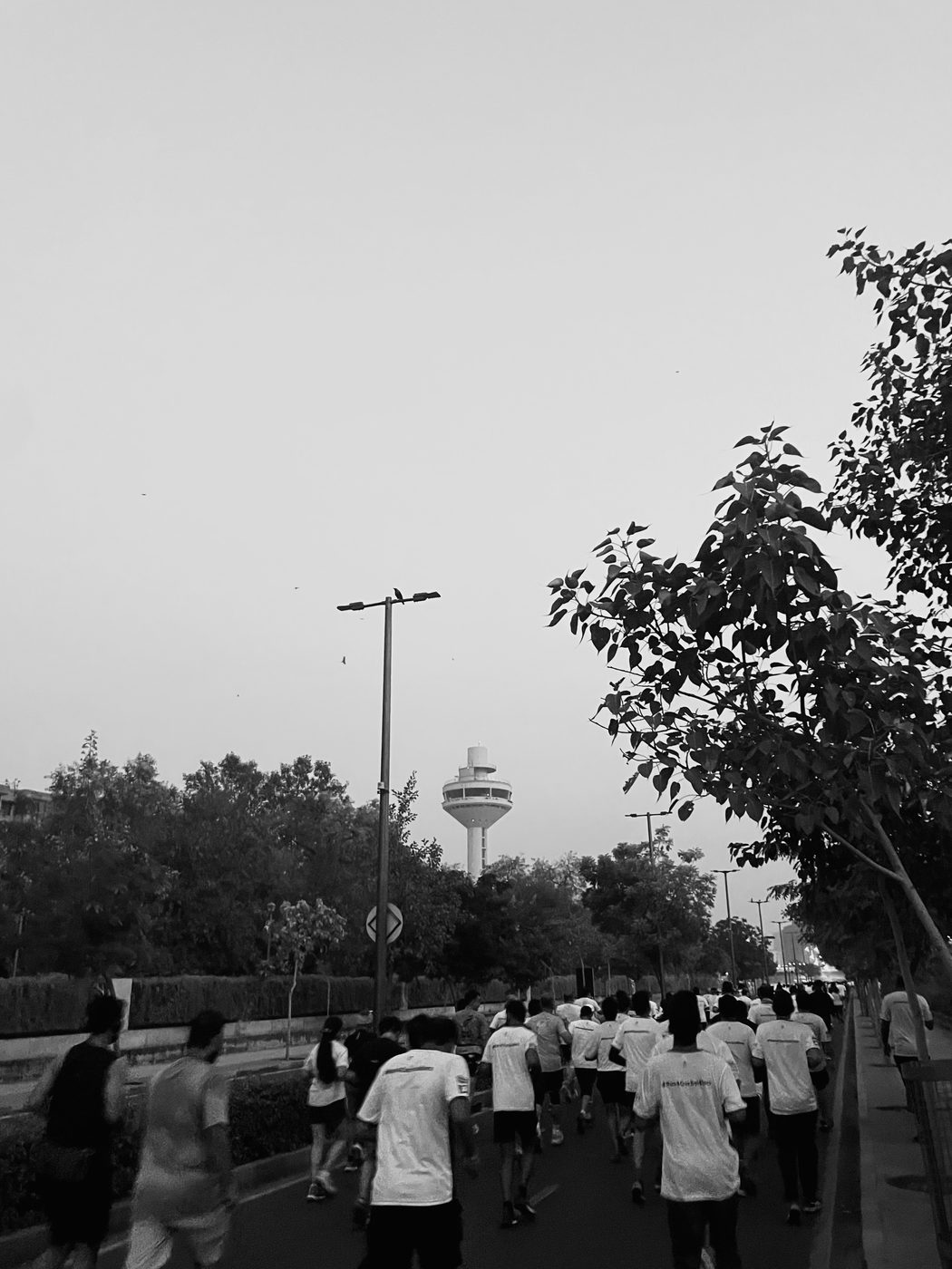 Photograph 8