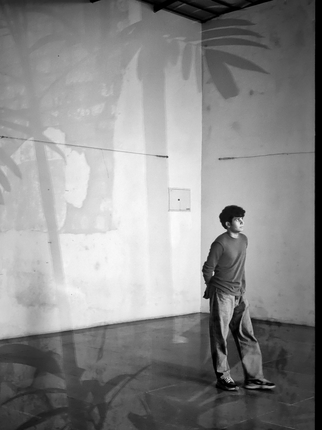 Photograph 13